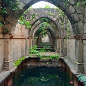 Urban Herb Seed Pack