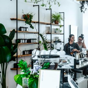 Succulent & Cactus Soil